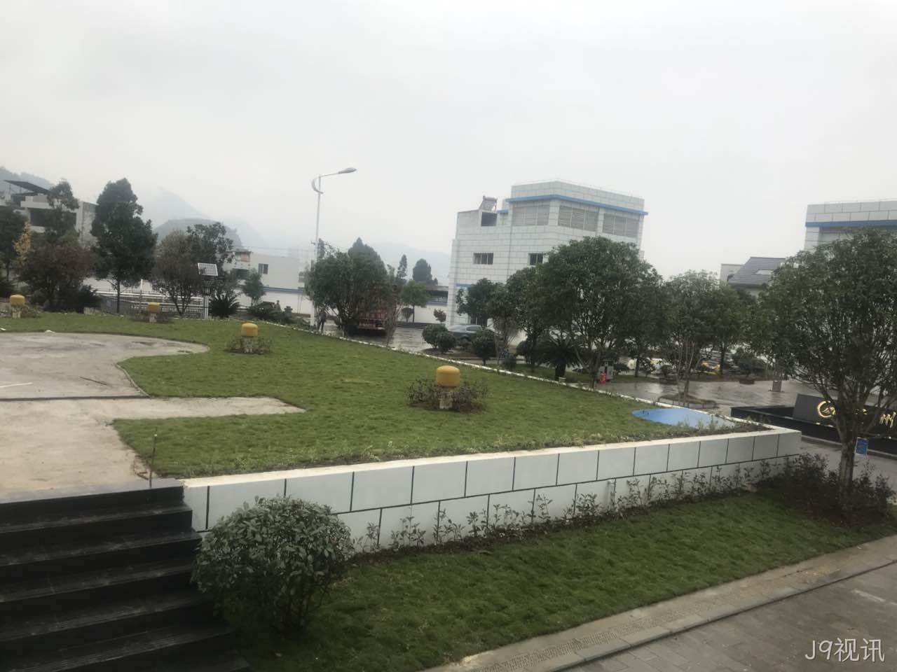 台湾二号草坪怎么养护