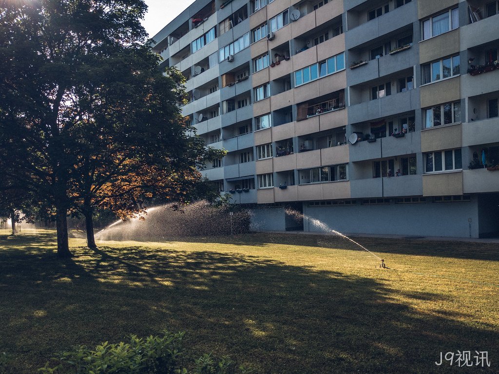 草坪维护知识介绍